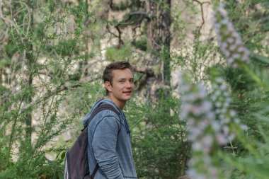 Sırt çantalı genç bir adam Tenerife 'nin batı yakasında bir rota boyunca seyahat ediyor. Dağ yolunda yürüyüş yapmak. Etrafı çam ağaçları ve lav kayaları ile çevrili. Kanarya Adaları.