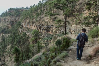 Sırt çantalı genç bir adam Tenerife 'nin batı yakasında bir rota boyunca seyahat ediyor. Dağ yolunda yürüyüş yapmak. Etrafı çam ağaçları ve lav kayaları ile çevrili. Kanarya Adaları.