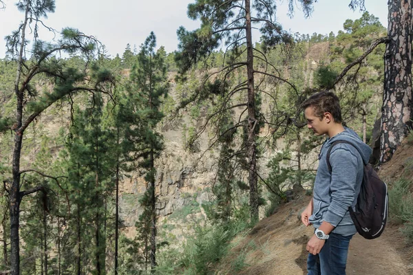 A young man with a backpack travels along a route in the west side of Tenerife. Hiking by the mountain trail surrounded by endemic vegetation pine tree forest and fields of lava rocks. Canary Islands.