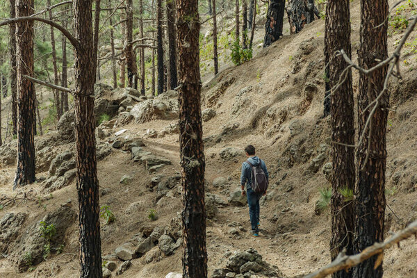 Молодой человек с рюкзаком путешествует по маршруту в западной части Тенерифе. Прогулка по горной тропе в окружении эндемичных растительных сосновых лесов и полей лавовых пород. Канарские острова
.