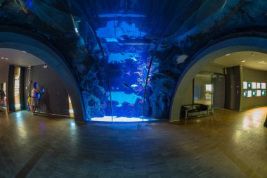 MILAN, ITALY - 1 Ağustos 2019 Sforza Şatosu XV yüzyılındaki Acquario Civico di Milano 'yu ziyaret eden insanlar - Castello Sforzesco. Milano, Lombardiya, İtalya 'nın ana simgelerinden biridir..