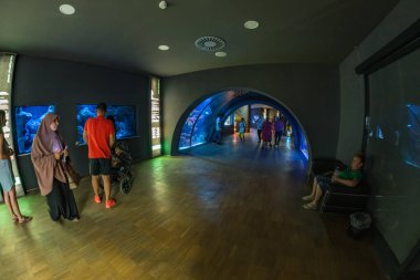 MILAN, ITALY - 1 Ağustos 2019 Sforza Şatosu XV yüzyılındaki Acquario Civico di Milano 'yu ziyaret eden insanlar - Castello Sforzesco. Milano, Lombardiya, İtalya 'nın ana simgelerinden biridir..