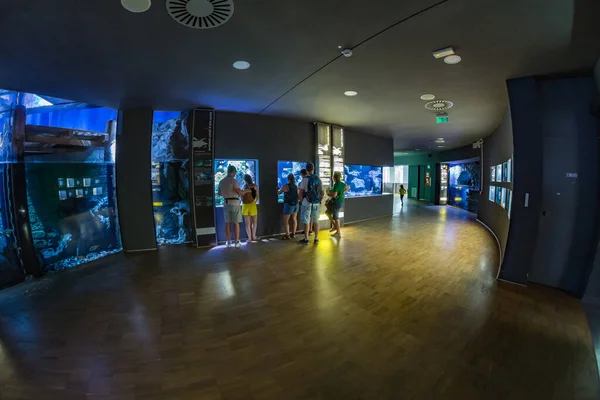 Mailand Italien August 2019 Besucher Des Acquario Civico Milano Schloss — Stockfoto