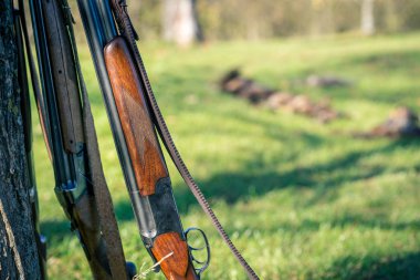 Av tüfeği ayrıntı görünümü.