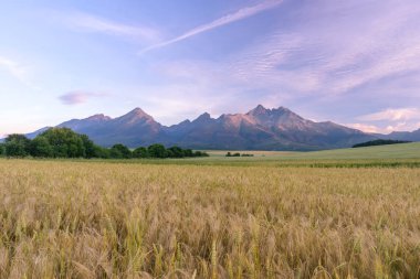 Sabah görünümü yüksek Tatras, Slovakya. 