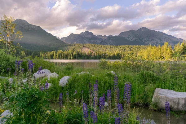 Scenic view of beautiful mountain landscape with hotel next to a lake. — Stock Photo, Image