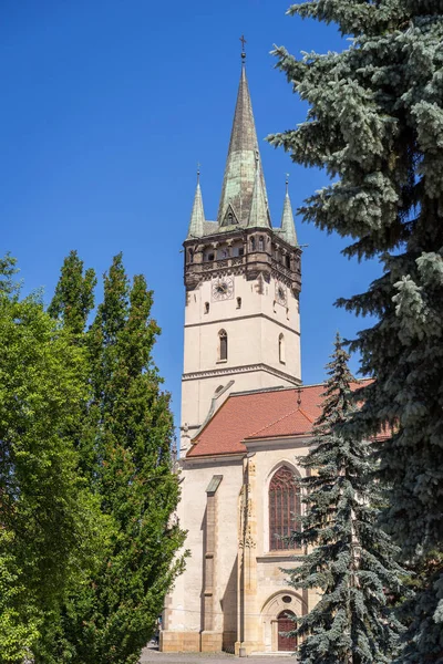 Doğal görünümü Katedrali, Aziz Nikolaos, Presov, Slovakya. 