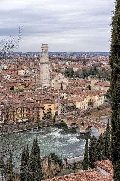 Vertival View Cityscape Famous Veronas — Stock Photo, Image