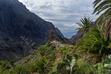 Ünlü masca manzaralı, Tenerife.