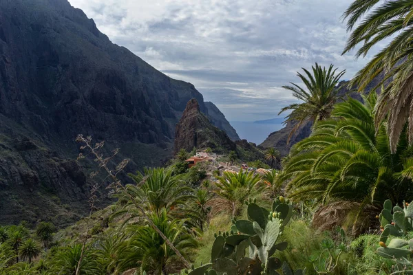 Vista panorâmica da famosa Masca, Tenerife . — Fotografia de Stock