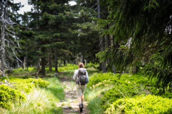 Unga kvinnliga vandrare går på natursköna leden med ryggsäck. — Stockfoto