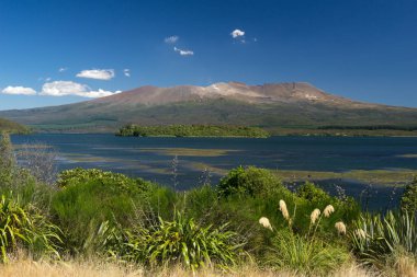 Mount Ruapehu, Tongariro Ulusal Parkı