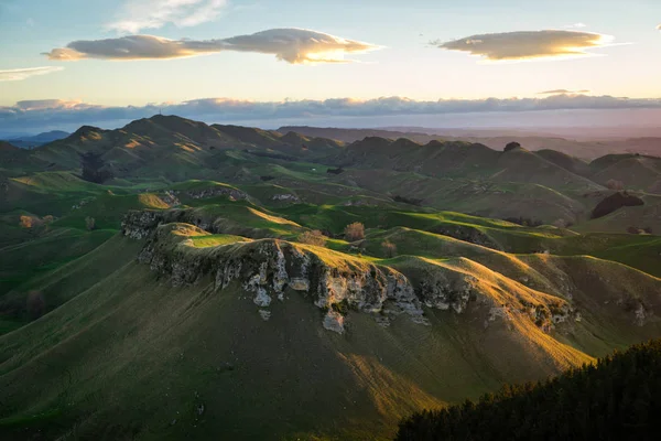 Bellissimo prato di campagna in Nuova Zelanda — Foto Stock