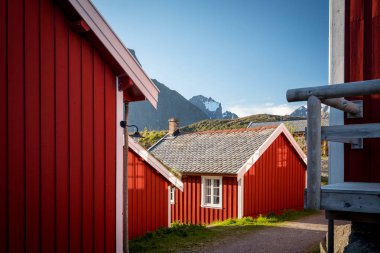 Kırmızı klasik Norveç Rorbu balıkçı kulübeleri.