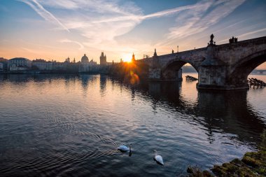 Sabah erken ünlü Charles Köprüsü'nün doğal görünümü. Vltava. Prag. Çek Cumhuriyeti.