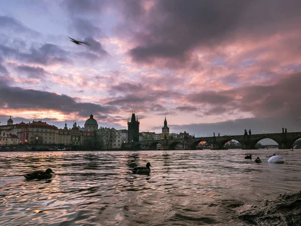 Vista Panorámica Madrugada Del Famoso Puente Carlos Vltava Praga República — Foto de Stock