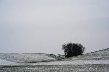 İnişli çıkışlı kış sahne kar ile kapak alanları. Kesek kış günü.