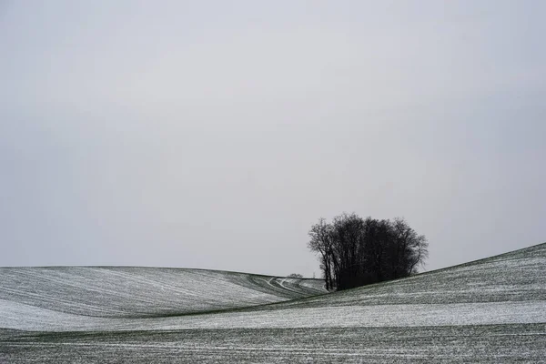 Winter Scene Rolling Fields Cover Snow Clod Winter Day — Stock Photo, Image