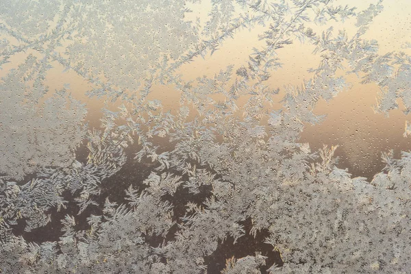 Frost Üzerinde Bir Pencere Bir Kış Sabahı — Stok fotoğraf