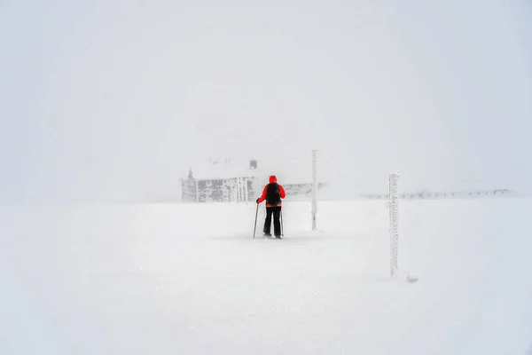 Actividad deportiva de invierno. Senderismo de mujer con mochila y nieve —  Fotos de Stock