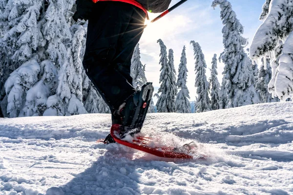 Χειμερινές αθλητικές δραστηριότητες. Πεζοπόρος γυναίκα με σακίδιο και χιόνι — Φωτογραφία Αρχείου