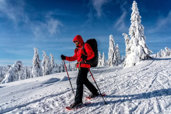 Winter sport activity. Woman hiker hiking with backpack and snow — Stock Photo, Image