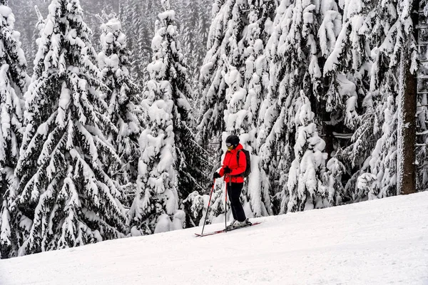 Female skier dressed in red jacket on ski slope. — Stock Photo, Image