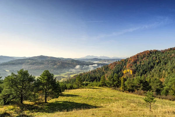 Wide View Beautiful Autumn Landscape High Tatra Mountains Background Slovakia — Stock Photo, Image