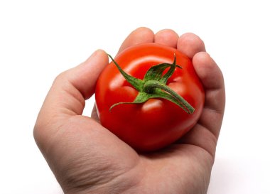 Beyaz arkaplanda taze bir domates var.