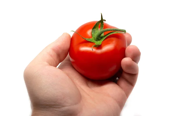 One Fresh Tomato Hand Isolate White Background — Stock Photo, Image