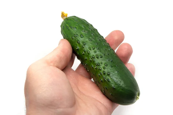 Green Bright Cucumber Hand Isolate White Background — Stock Photo, Image