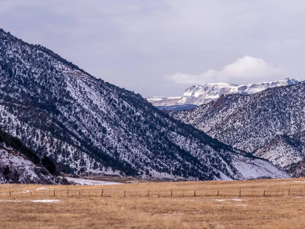Pastos secos con colinas nevadas — Foto de Stock