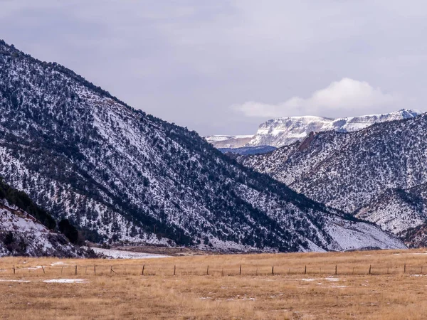 Pastos secos con colinas nevadas Imágenes De Stock Sin Royalties Gratis