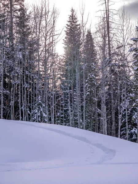 Camino de raquetas de nieve en nieve fresca — Foto de Stock