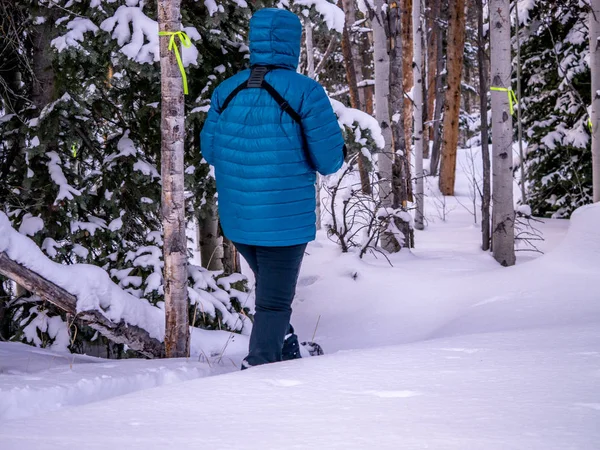 Hembra raquetas de nieve en invierno país de las maravillas — Foto de Stock