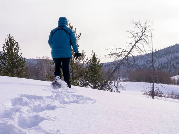Mujer rompiendo rastros de raquetas de nieve, orientación paisaje — Foto de Stock