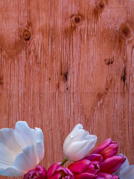 Ramo de tulipanes blanco y rosa, orientación vertical con espacio para copiar — Foto de Stock