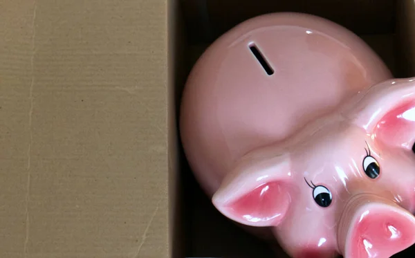 Pink Pig piggy bank with a cartoon on the side