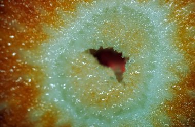 Yakın plan - olgun bir çileğin ortasındaki makro fotoğraf.