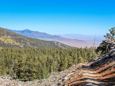 Büyük Havza Ulusal Parkı 'ndan Doğu Nevada' ya bir manzara