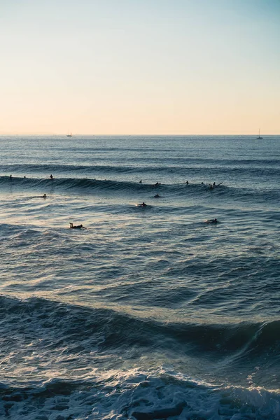 Surfistas remando contra las olas al atardecer — Foto de Stock