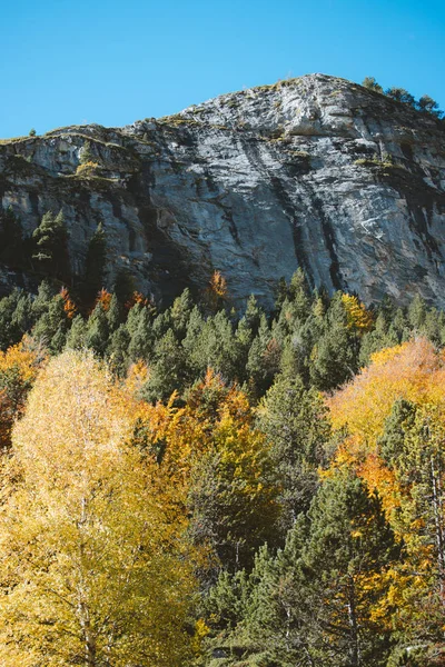 Tonos otoñales en los árboles de los Pirineos durante el otoño —  Fotos de Stock
