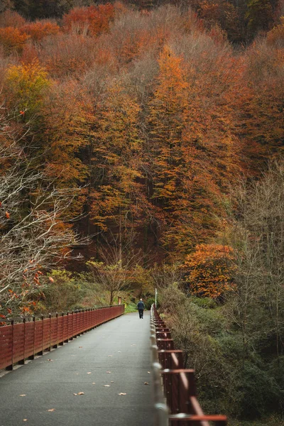 Retired man walking on a path during autumn — 스톡 사진