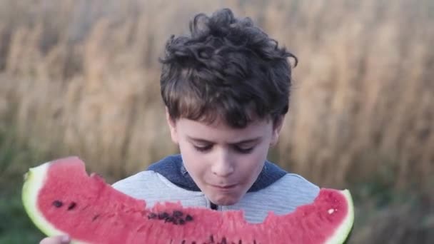 Niño Hambriento Come Felizmente Enorme Pedazo Grueso Jugosa Sandía Roja — Vídeo de stock