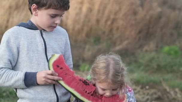 男の子と女の子は喜んで自然の中でジューシーな熟した赤いスイカの巨大な厚い部分を食べる 自然食品 兄と妹Juicy赤スイカを食べる 健康的な食事 夏野菜 — ストック動画