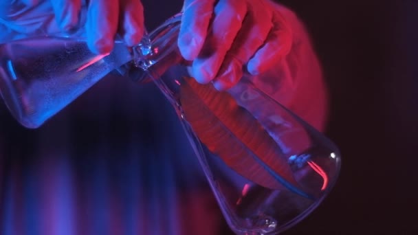 Naukowiec Neonowym Niebieskim Świetle Kombinezonach Probówkami Badacz Wlewa Klarowny Roztwór — Wideo stockowe