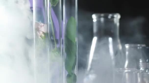 Experiment Medical Laboratory Scientific Medical Modern Laboratory Nitrogen Evaporates Test — Stock Video