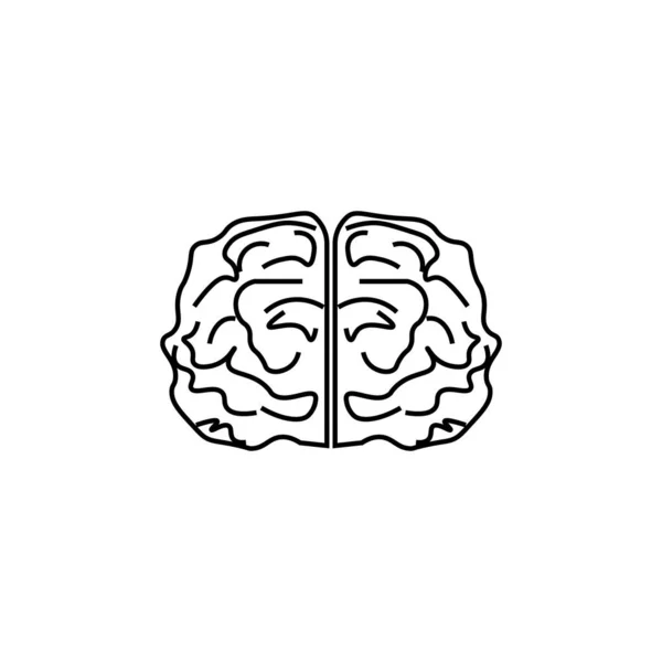 Brain Thin Line Icon Front View — Stock Vector
