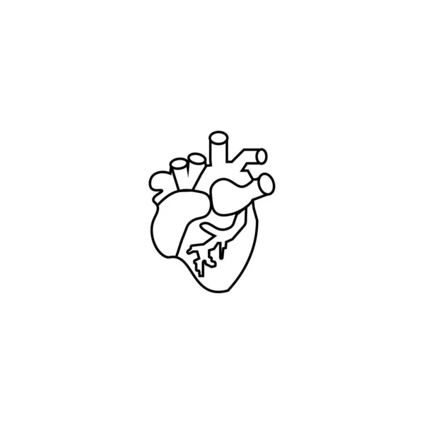 Human Heart Thin Line Icon — Stock Vector