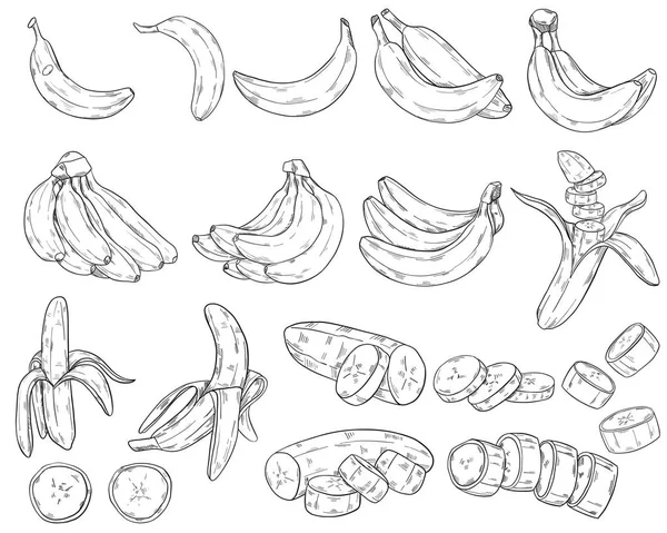 Uppsättning Bananer Clipart Stil Isolera Vit Bakgrund Vektorillustration — Stock vektor